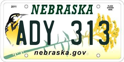 NE license plate ADY313