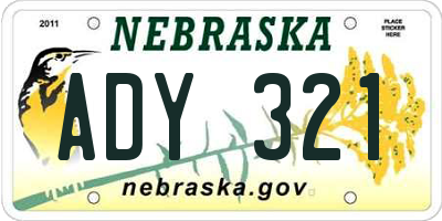 NE license plate ADY321