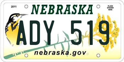 NE license plate ADY519