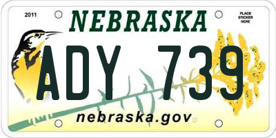 NE license plate ADY739