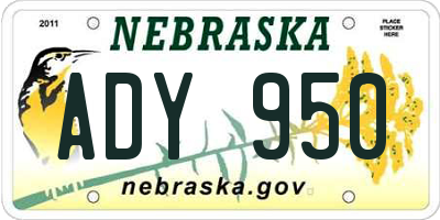NE license plate ADY950