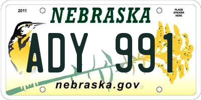 NE license plate ADY991
