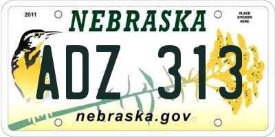NE license plate ADZ313