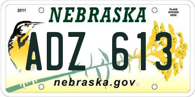 NE license plate ADZ613