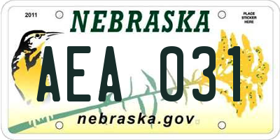 NE license plate AEA031