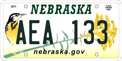 NE license plate AEA133