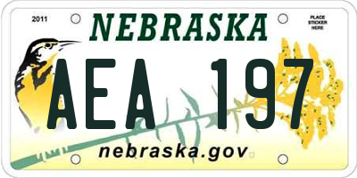 NE license plate AEA197