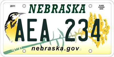 NE license plate AEA234