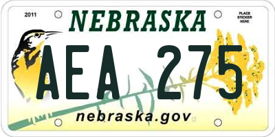 NE license plate AEA275