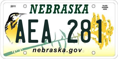 NE license plate AEA281