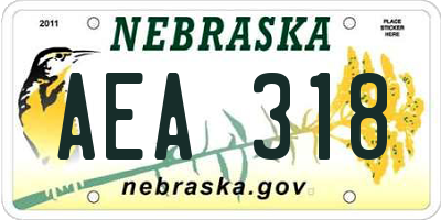 NE license plate AEA318