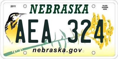 NE license plate AEA324