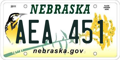NE license plate AEA451