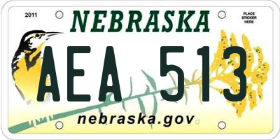 NE license plate AEA513