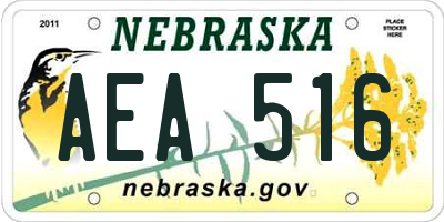 NE license plate AEA516