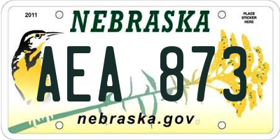 NE license plate AEA873