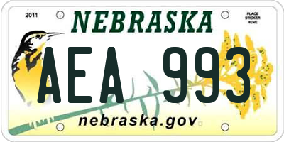NE license plate AEA993