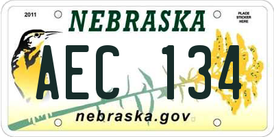 NE license plate AEC134
