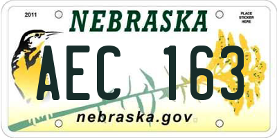 NE license plate AEC163