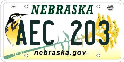 NE license plate AEC203