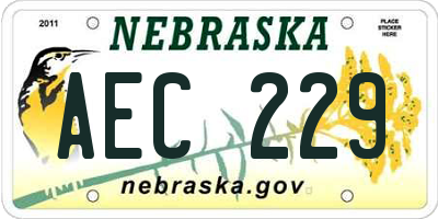 NE license plate AEC229