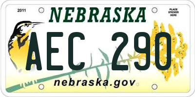 NE license plate AEC290