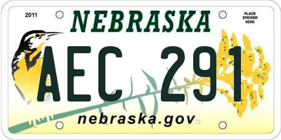 NE license plate AEC291