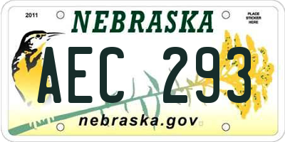 NE license plate AEC293