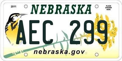NE license plate AEC299