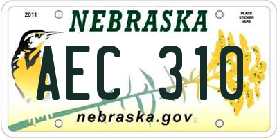 NE license plate AEC310