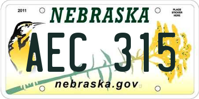 NE license plate AEC315