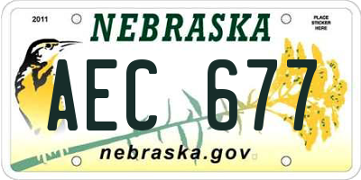 NE license plate AEC677