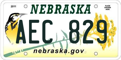 NE license plate AEC829