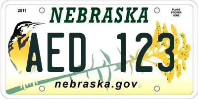 NE license plate AED123