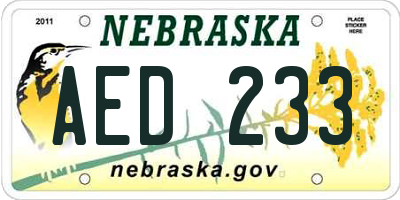 NE license plate AED233