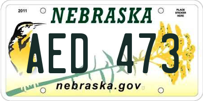 NE license plate AED473