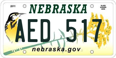 NE license plate AED517