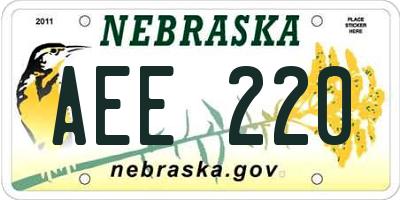NE license plate AEE220