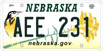 NE license plate AEE231