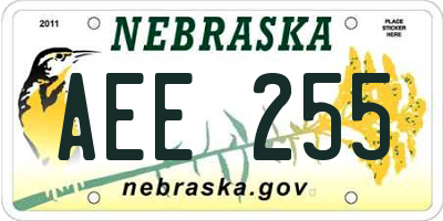 NE license plate AEE255