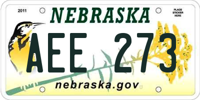 NE license plate AEE273