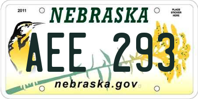 NE license plate AEE293