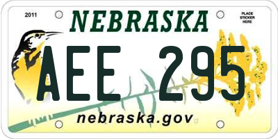 NE license plate AEE295