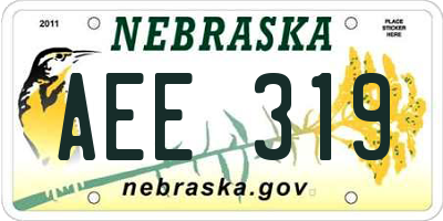 NE license plate AEE319
