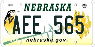 NE license plate AEE565