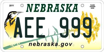 NE license plate AEE999