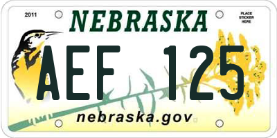 NE license plate AEF125