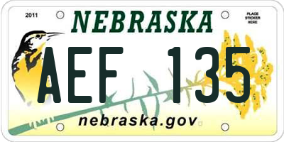 NE license plate AEF135