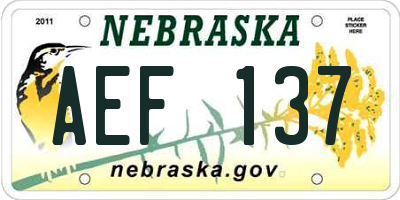 NE license plate AEF137