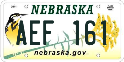 NE license plate AEF161